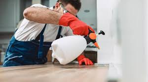 Best Pest Control for Multi-Family Homes  in North Babylon, NY